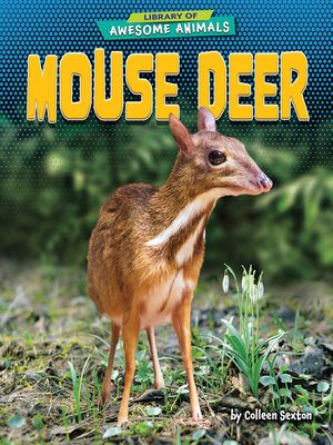 cover image of Mouse Deer